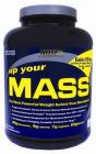 Up Your Mass