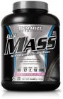 Elite Mass Gainer