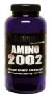 Amino 2002