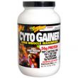 CytoGainer
