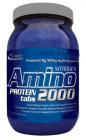 Amino 2000