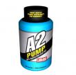 A-2 Pump